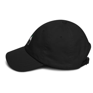 Dumpling Sauce Dad hat